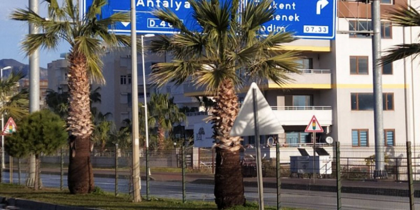 Новые правила ВНЖ в Турции 2022 — новые сложности и особенно для одиноких девушек