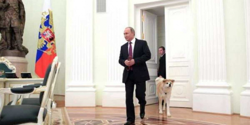 «Мечта» Путина вызвала у японцев восторг: «Россия для них благодать!»