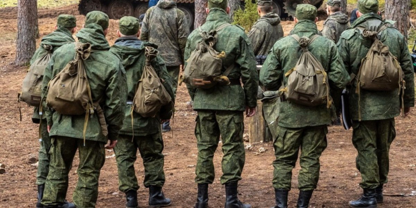 Частичная мобилизация последние новости конец ноября. Что нового известно о льготах и призыве мобилизованных на сегодня?