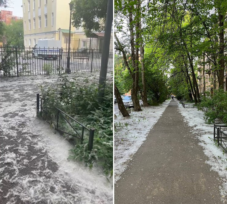 Петербуржцы страдают от обилия тополиного пуха на улицах города