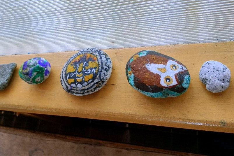 Приморские школьники познакомились с тайнами жизни и быта коренных малочисленных народов