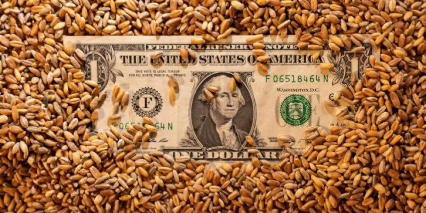 Война за хлеб: Запорожье и Херсон, далее – везде…