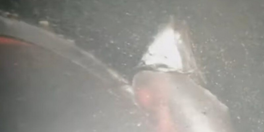 Расследование диверсии на «Северных потоках» и экономика Германии