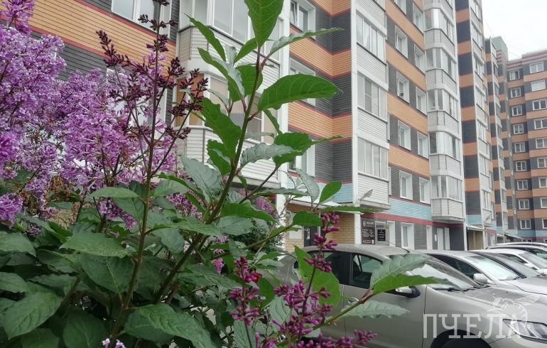 В Челябинской области IT-специалисты начали получать выплаты по льготной ипотеке