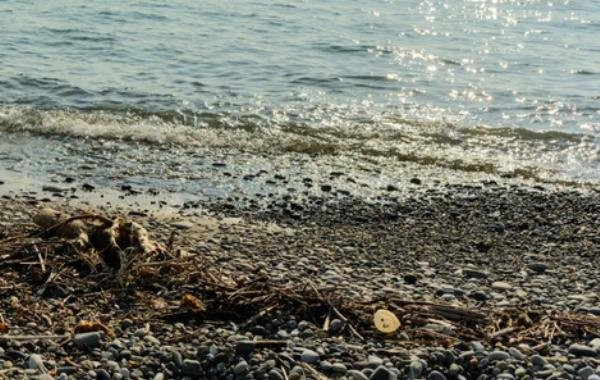 Обстановка в Туапсинском районе после ливней: свежая информация на сегодня, 20.07.2023