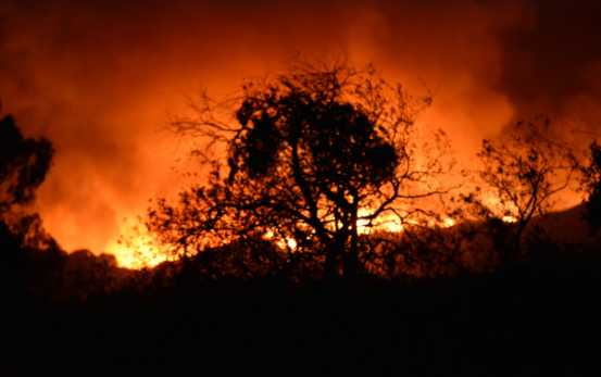 Греческие СМИ описывают ситуацию на охваченном пожарами острове Родос как «ад»