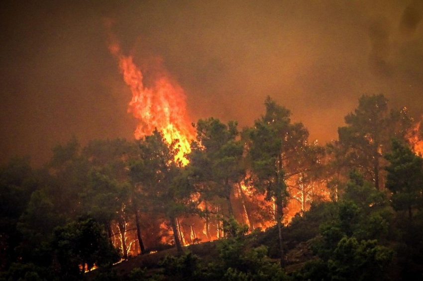 Польские турфирмы отменяют путевки в Грецию из-за лесных пожаров