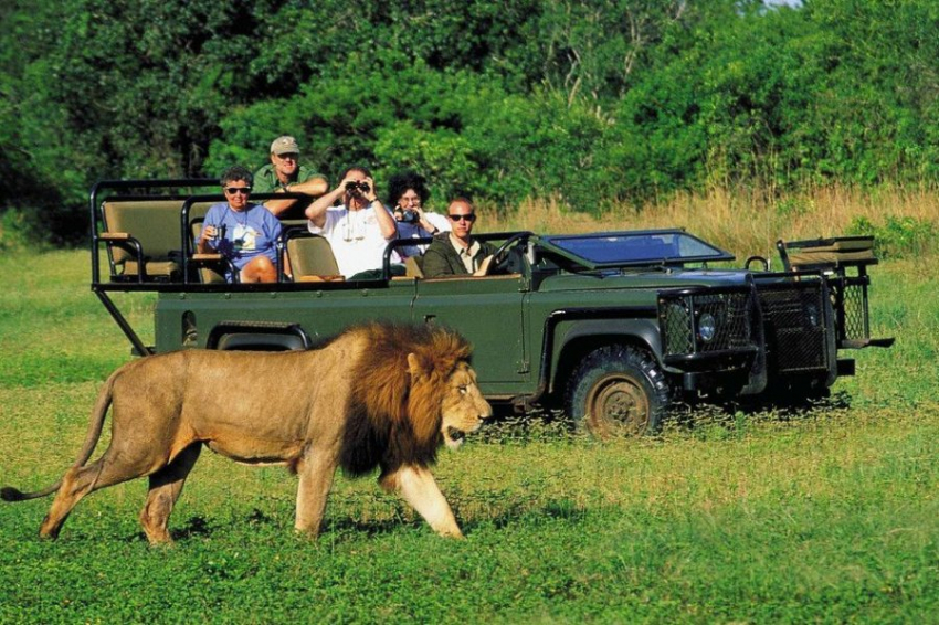 «Известия»: ЮАР вошла в число стран у бизнес-туристов