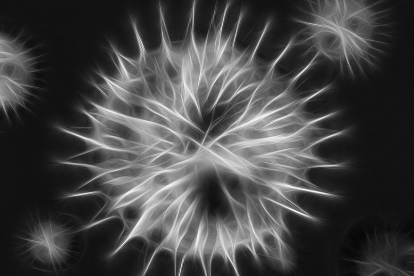 Новый «радар» обнаруживает активные разрушители клеток