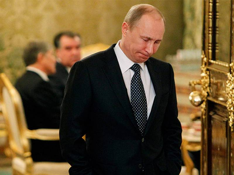 Прогнозы о завершении СВО к весне 2024: мнения Путина, Зеленского, Шойгу и Залужного