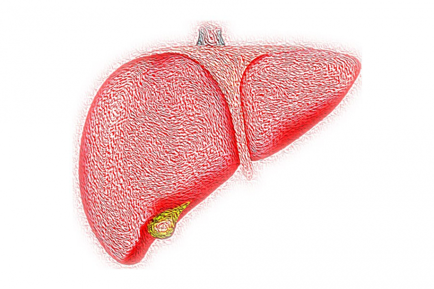 Journal of Hepatology: смена часовых поясов может вызвать рак печени