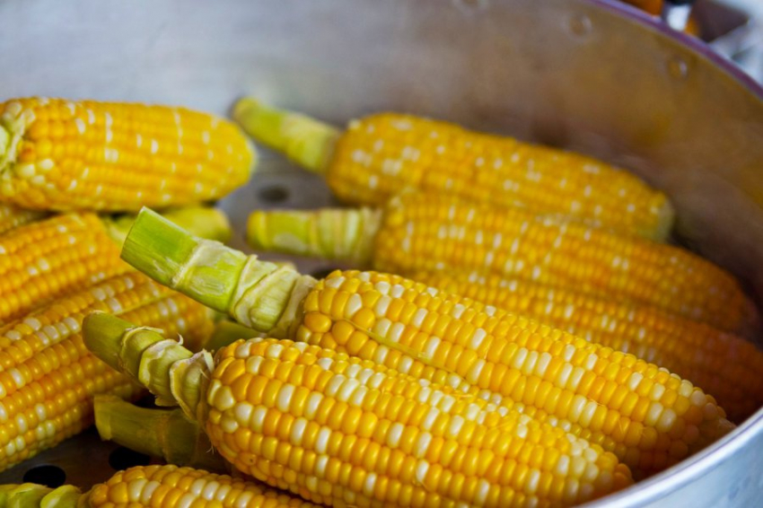 Специалисты назвали продукт, полезный для зрения и работы печени
