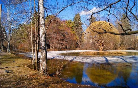В среду, 13 марта 2024 года в народе отмечают день Василия Капельника