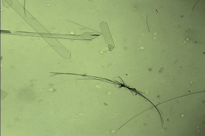 Молекулярно-кристаллические двигатели под воздействием света движутся, как микробы