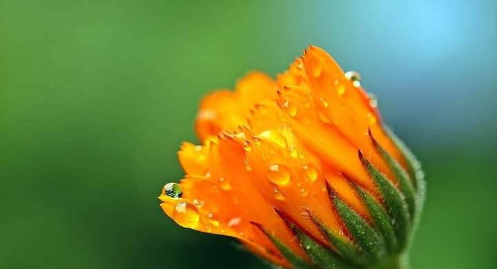 Что можно и нельзя делать по народным приметам в праздник 28 августа 2024 года