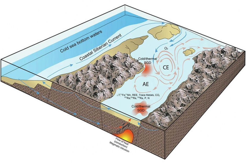 Раскрыты причины появления «оазиса жизни» в одном из самых холодных морей мира
