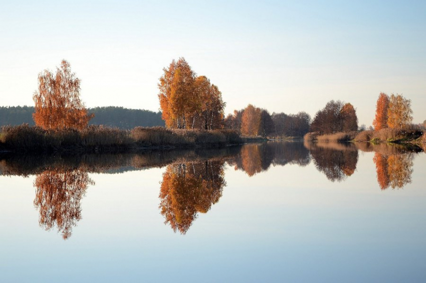 Ученые МФТИ создали бактерии, светящиеся при наличии мутагенов в воде