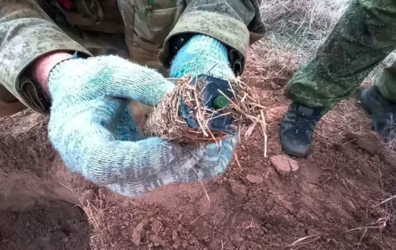 «Северный ветер»: ВСУ начали использовать новую маскировку противопехотных мин «Лепесток»