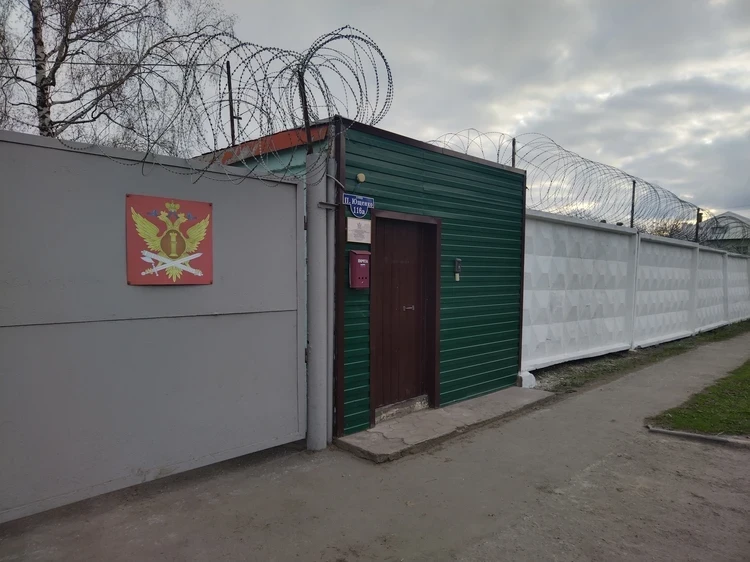 Вышел тайно, глубокой ночью: Что известно об освобождении Михаила Ефремова из колонии